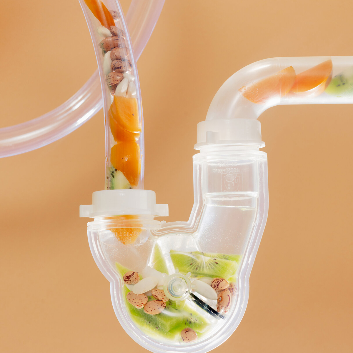 Allergy & Immune Care